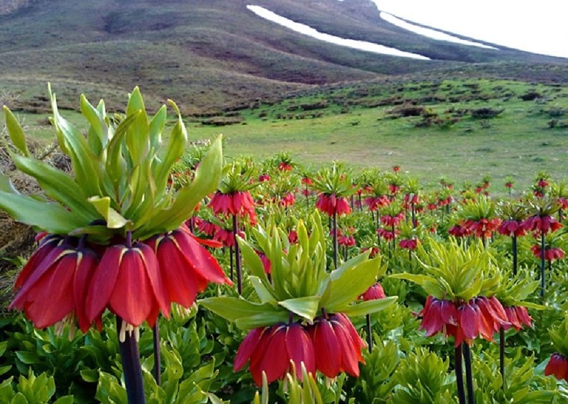 روستای خسروشیرین آباده | آباده جاذبه گردشگری ایران