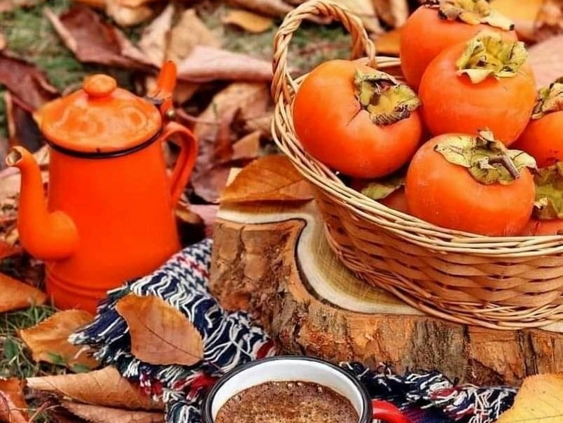 Persian Fruits | What to buy in Hamedan Iran