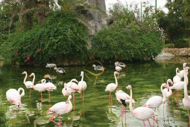 Isfahan Birds Garden | Isfahan Iran Tourist Attractions