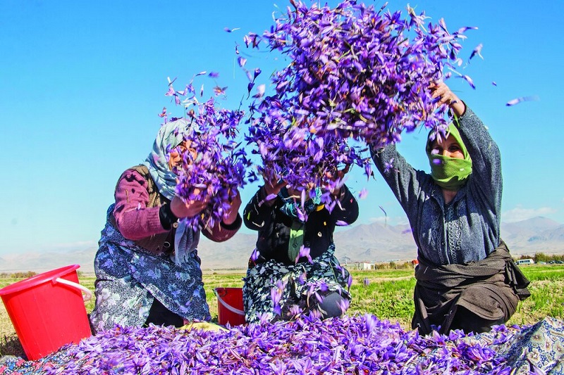 سوغات خوراکی و شیرینی‌های قائن