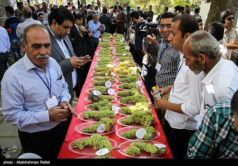 Persian Customs in Malayer Iran | Manizan Juice Making Festival