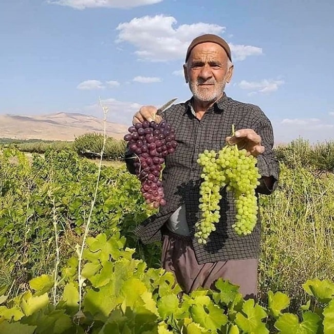 Persian Customs in Malayer Iran