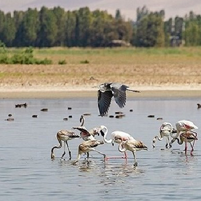 Malayer Agh Gol Lagoon | Agh-Gol Wetland in Hamedan | Tourist Attractions in Malayer Iran