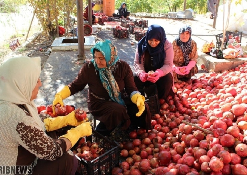 Persian Pomegranate Molasses | What to buy in Marivan Kurdistan Iran
