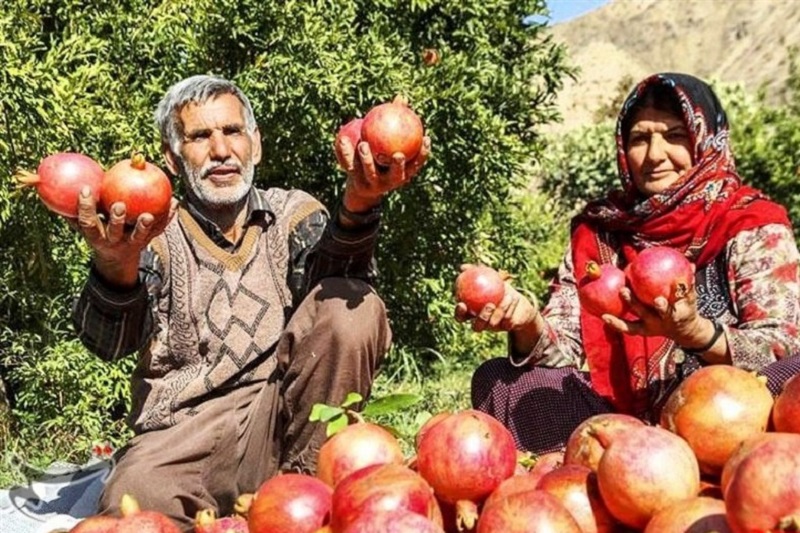 Persian Customs in Meybod Iran | Pomegranate Thanksgiving Festival