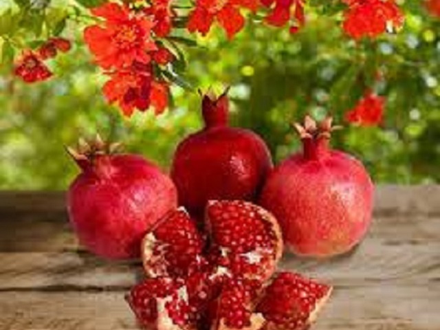 Persian Pomegranate Souvenirs | What to buy in Meybod Yazd