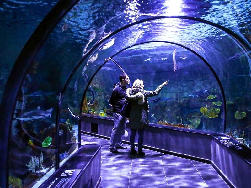 Bandar Anzali Aquarium | Gilan Iran Tourist Attractions