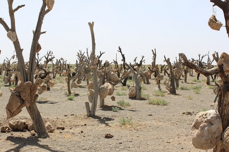 Sirjan Stone Garden | Sirjan Iran Tourist Attractions