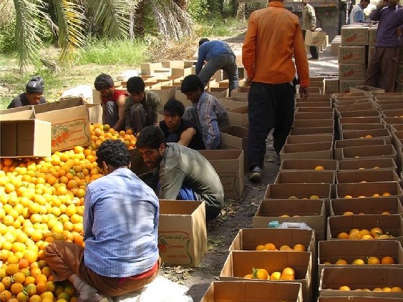 Orange Fruit Souvenirs | What to buy in Kerman Iran