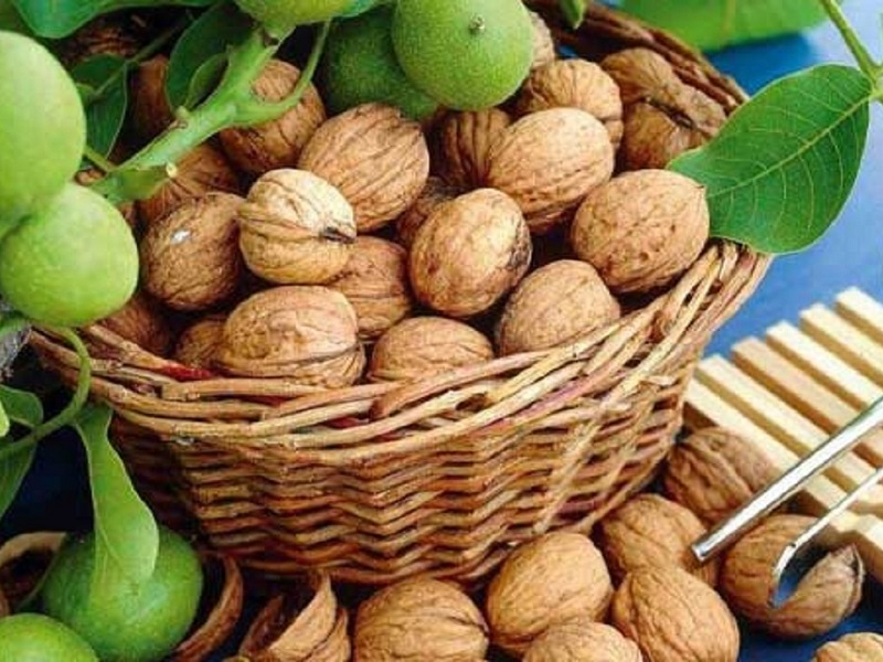 Malayer Souvenirs What to buy in Iran | Iranian Walnut