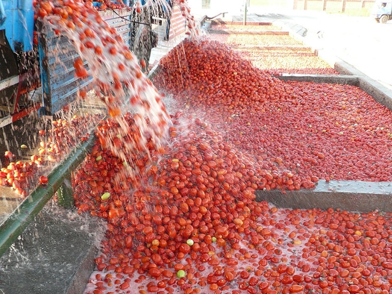 رب گوجه‌فرنگی | کارخانه‌ها و صنعت مریوان