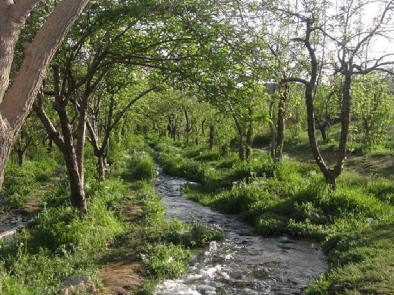 روستای پاریز | جاهای دیدنی سیرجان