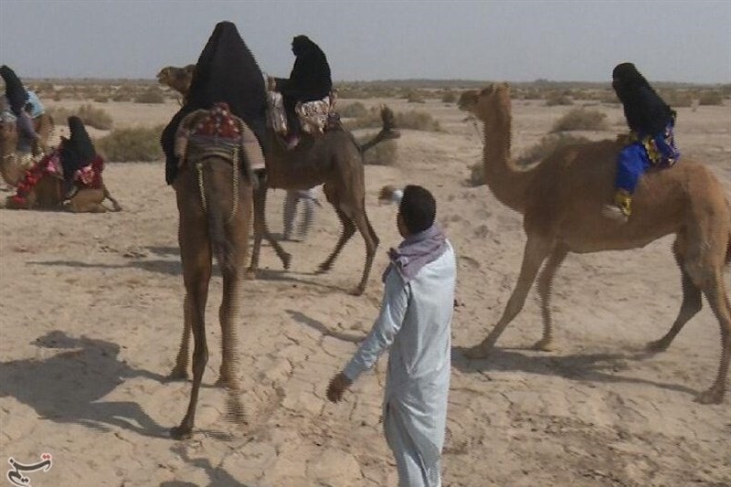 Persian Customs in Baluchistan Iran Balochi Traditional | Camel Riding