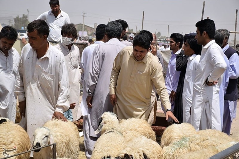 Persian Customs in Baluchistan Iran Balochi Traditional | Eid al-Adha in Sistan Baluchistan