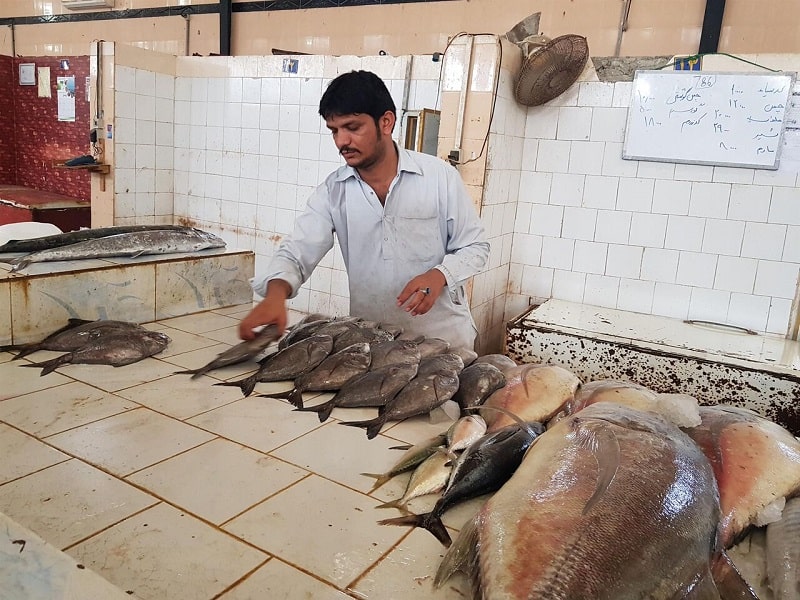 Chabahar Souvenirs What to buy in Sistan Baluchistan | Fresh Shrimp and Fish