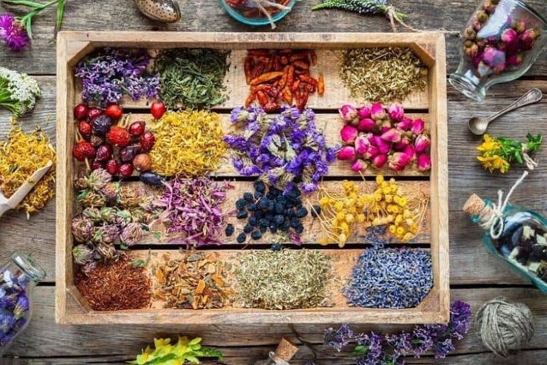 گیاهان دارویی | سوغات خوراکی سیستان بلوچستان، زاهدان، چابهار، ایرانشهر، زابل