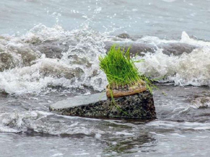 Turkish Customs and Traditions in Zanjan Iran | Sizdah Bedar in Zanjan