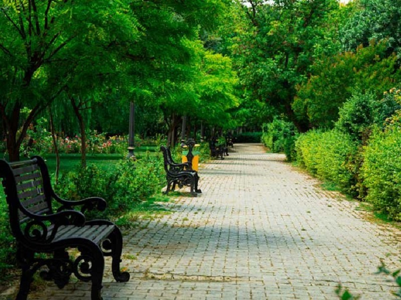 بوستان‌های محلی میبد | پارک‌های جنگلی، شهر بازی و مراکز تفریحی میبد